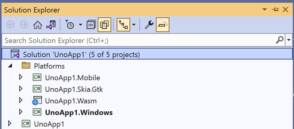 Visual Studio Solution Explorer showing generated blank project