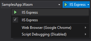 IIS express settings