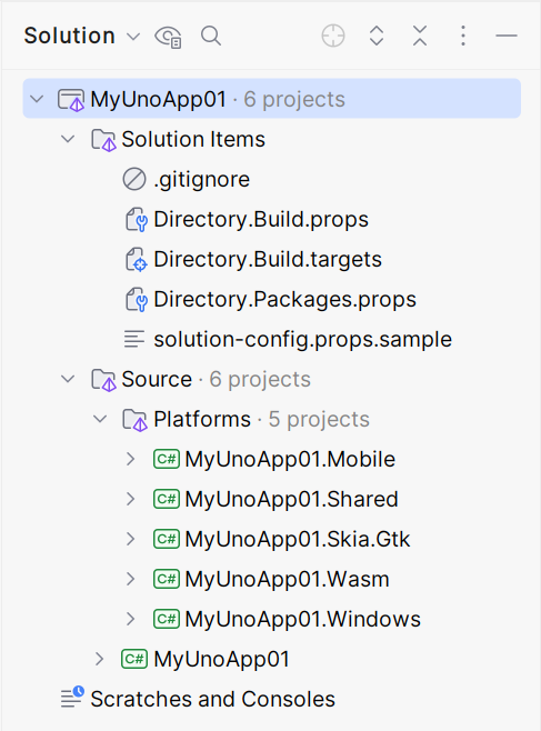 A screen showing the structure of the solution in Rider