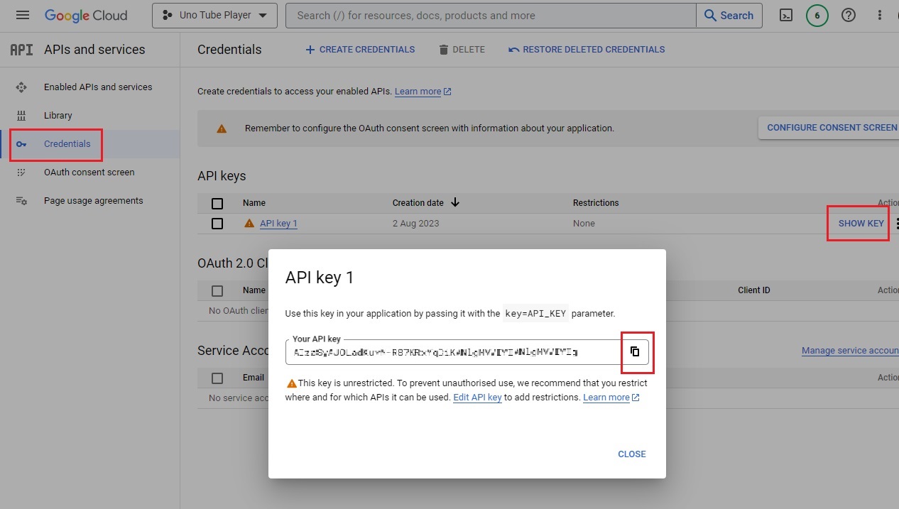 Google Console copy API key