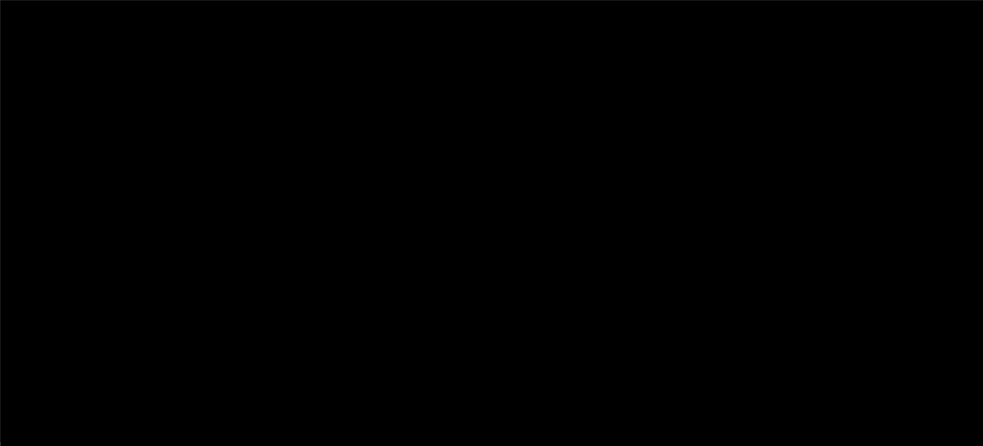 ExtendedSplashScreen Animation